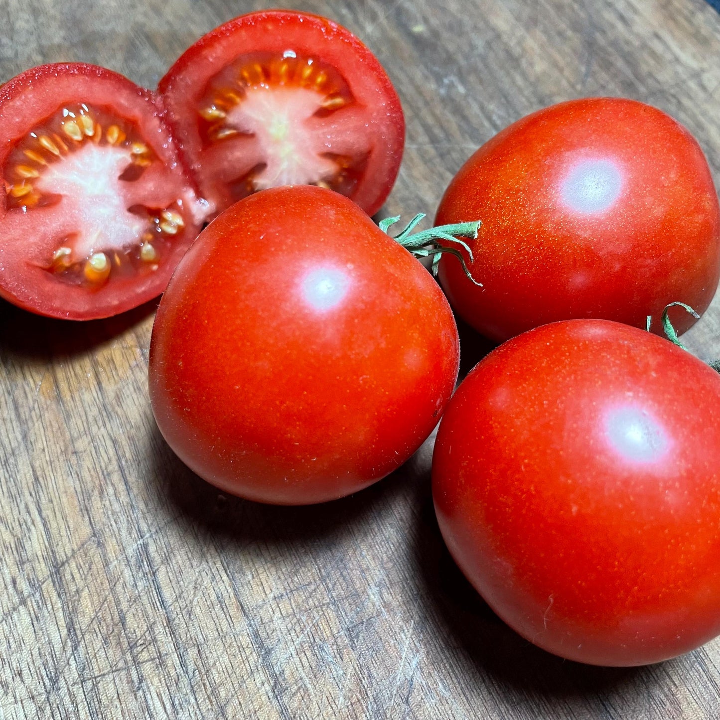 Manitoba - Tomato Seeds - Heirloom Tomato - 25+ Seeds
