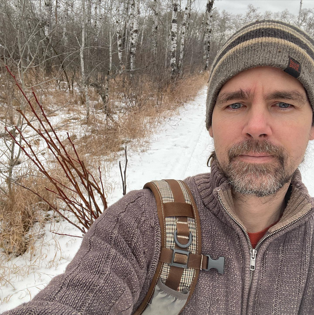 it’s nice out so I went and collected some early scion wood, image 1 of 3