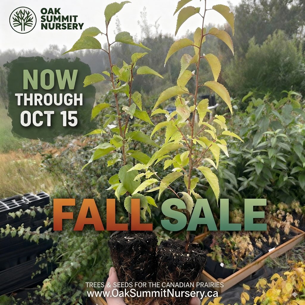 It's our fall sale at Oak Summit Nursery with over 150 type of fruit trees, berry bushes and hard to find plants