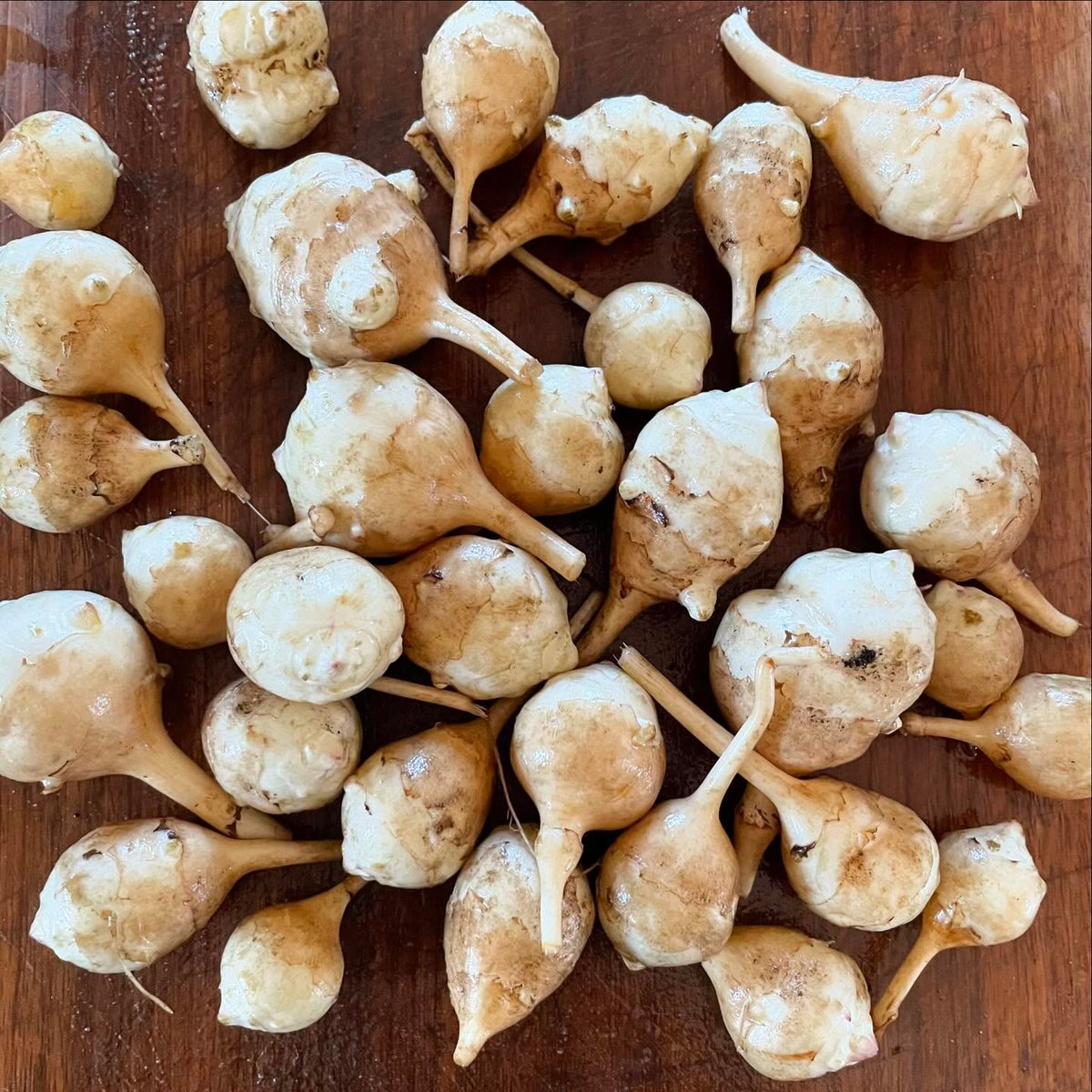 jersualem artichokes, a white, purple and golden variety, image 1 of 6