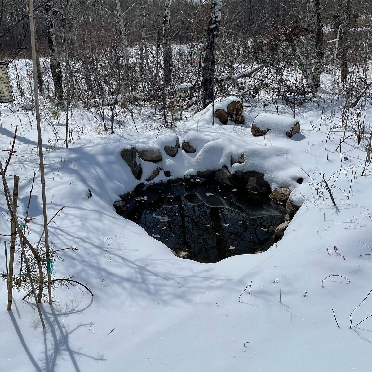 logistics of bench grafting when a late snow fall covers the nursery, our rootstocks are all heeled in and frozen under, image 5 of 5