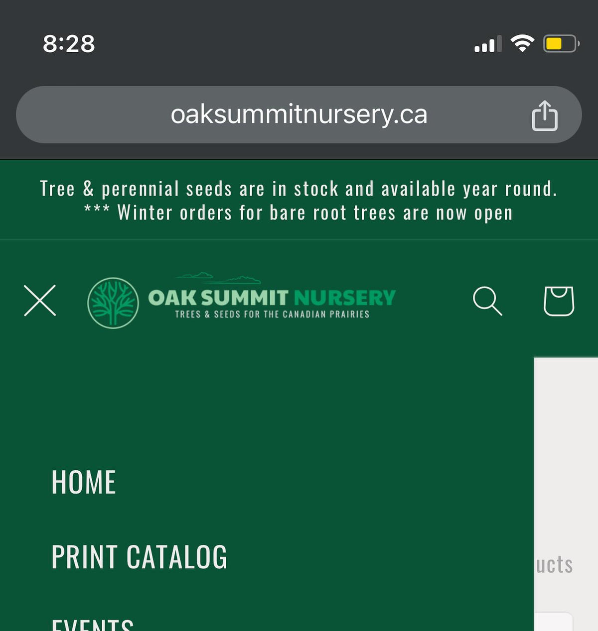 made a catalog to print, image 2 of 4