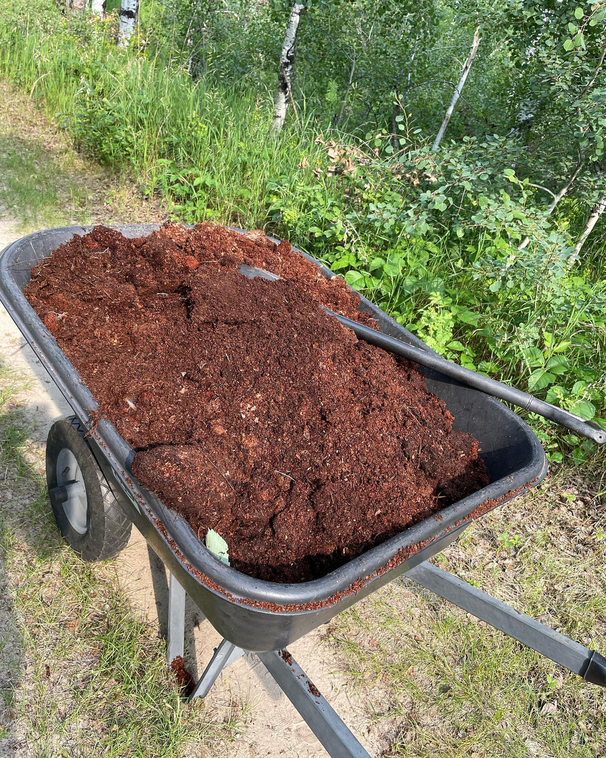making a new stoolbed and topping up our b118 one started last year, image 2 of 3