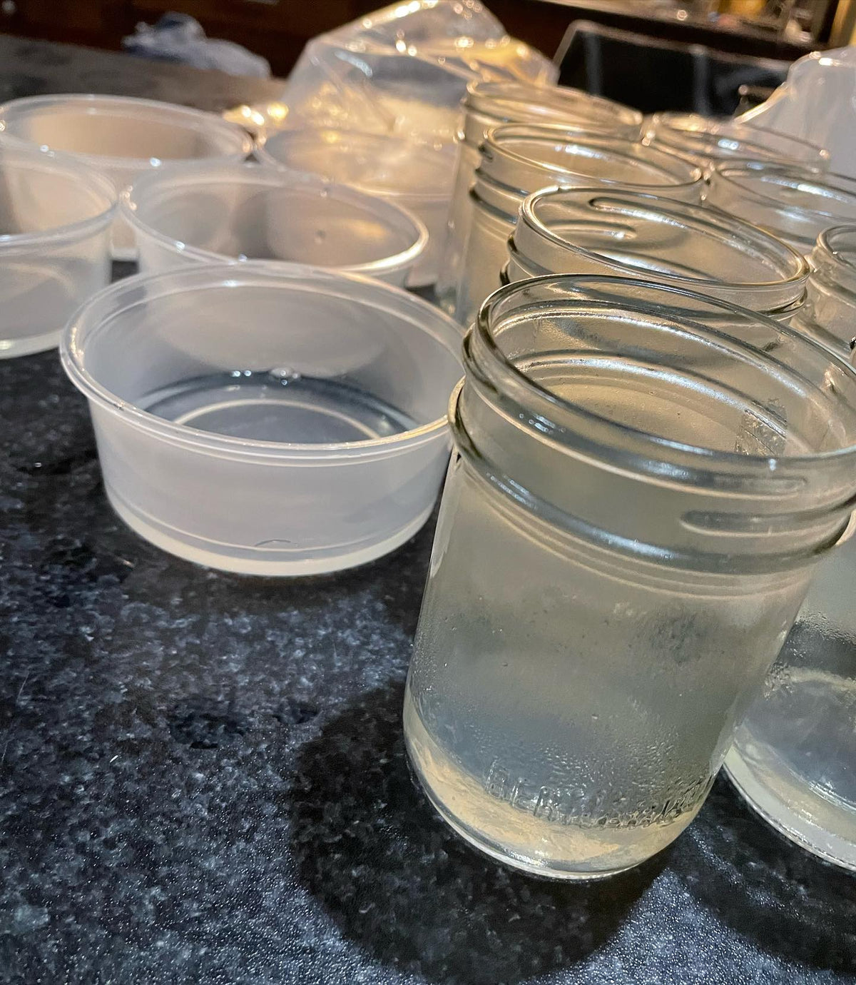 micro propagation with tissue culture is my winter project