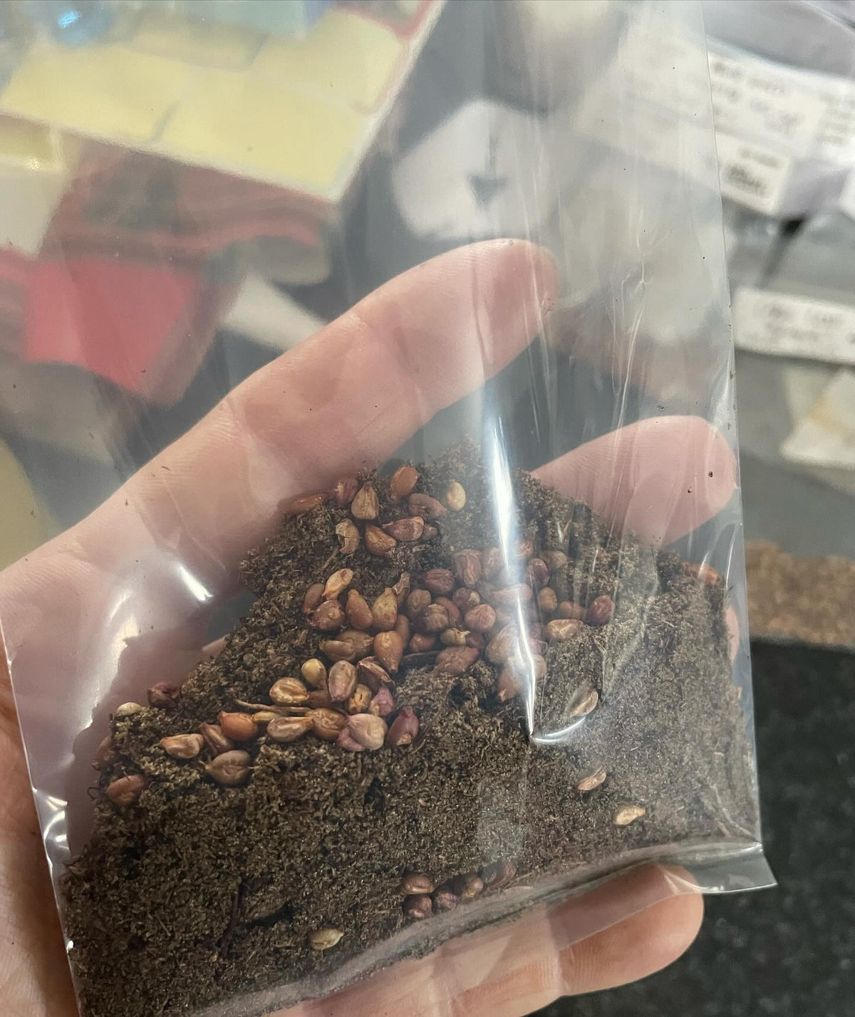 mix it up and then I usually soak over night and them squeeze out all the water until damp