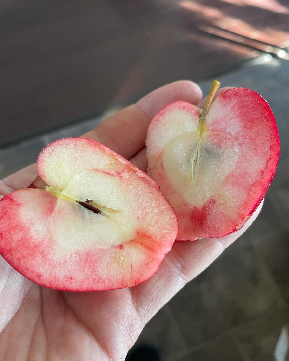 more pink flesh than I expected, this is the apple I lost the tag for but suspect it’s Norland, image 1 of 2