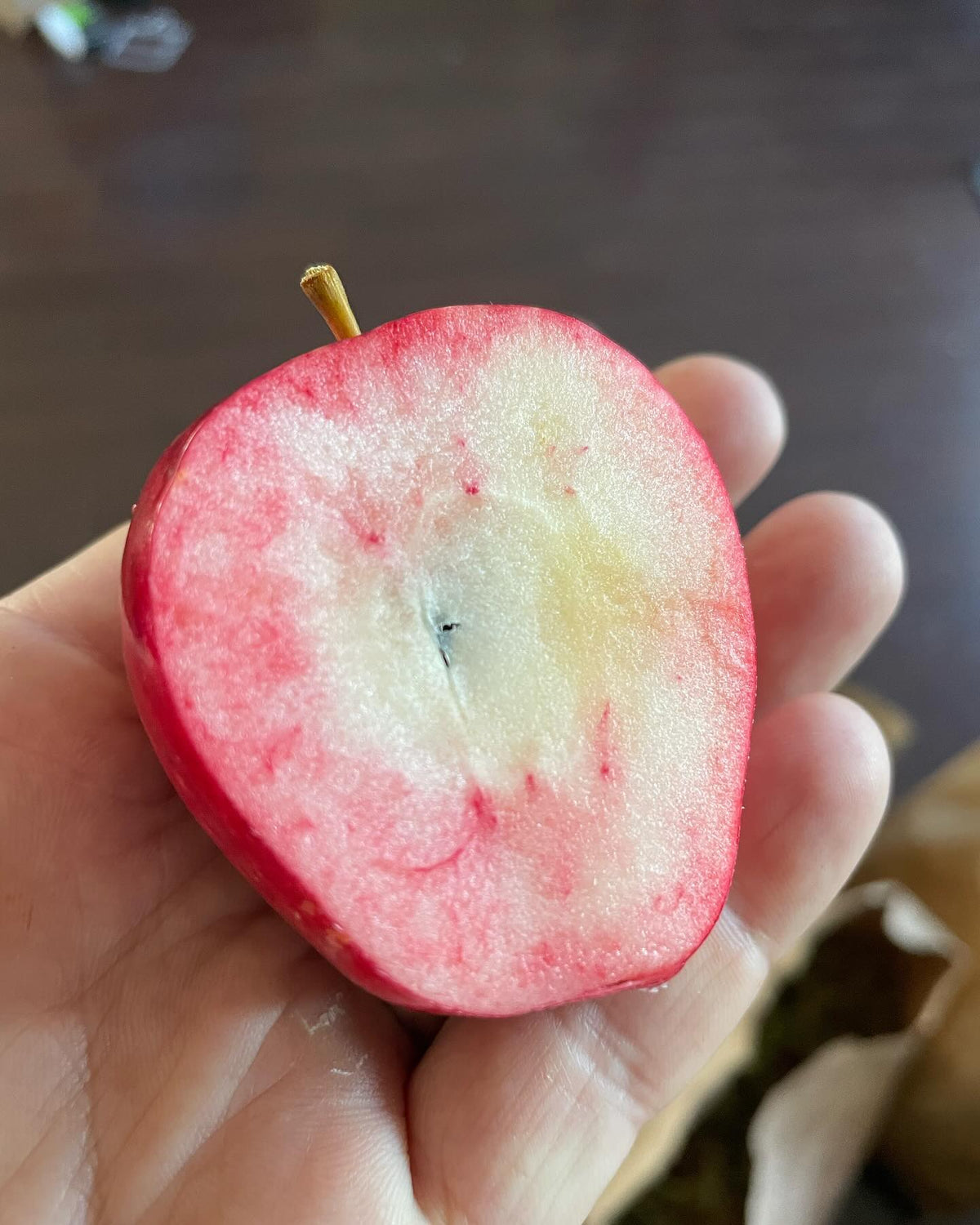 more pink flesh than I expected, this is the apple I lost the tag for but suspect it’s Norland, image 2 of 2