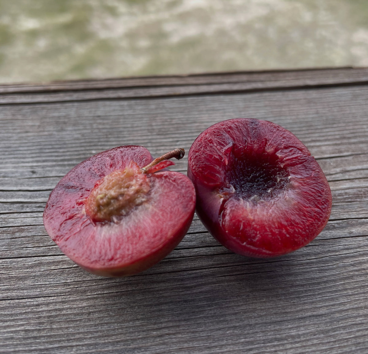 Mustang and Black Ice plum comparison, image 2 of 3