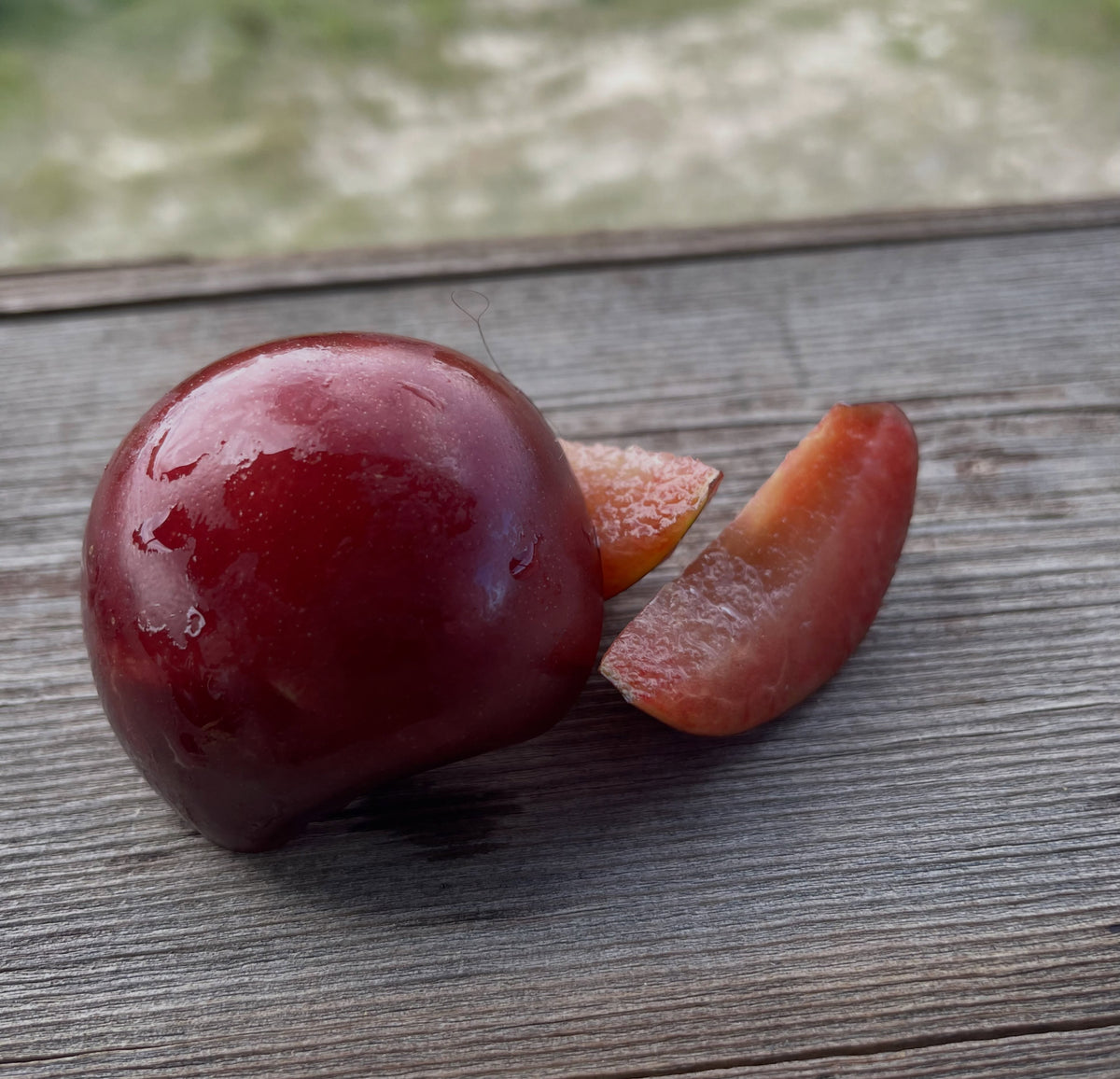 Mustang and Black Ice plum comparison, image 3 of 3