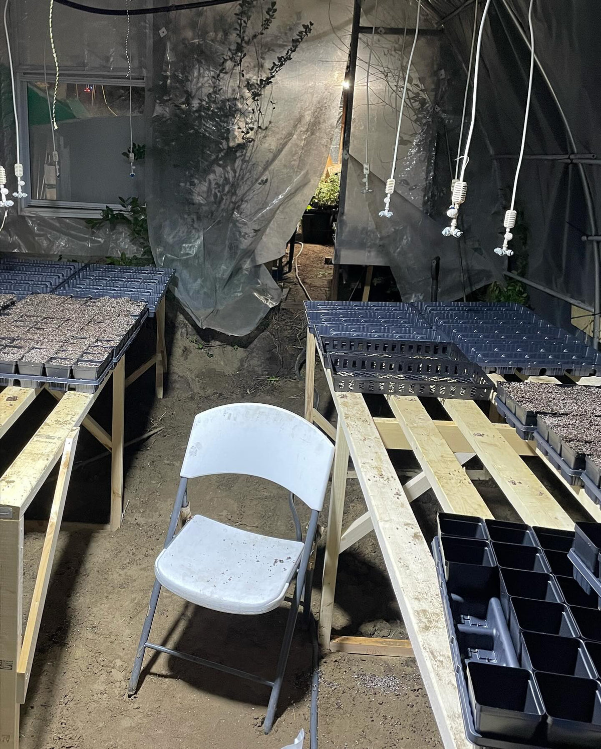 new greenhouse setup for softwood propagation, image 1 of 2