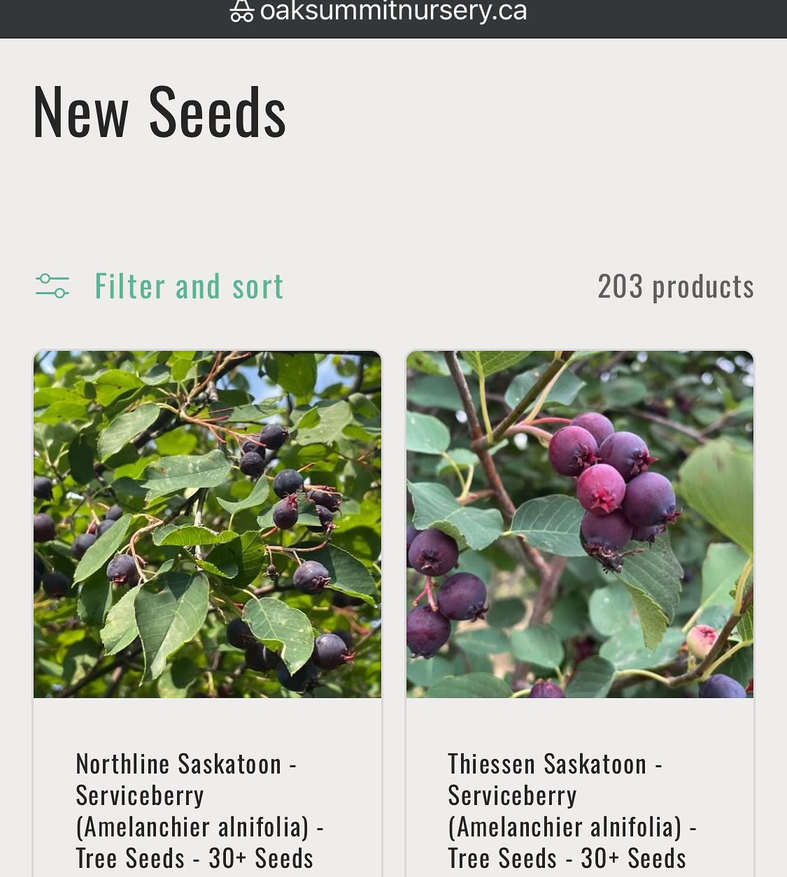 new seeds added to my shop, some of the new stuff collected this fall, image 1 of 7