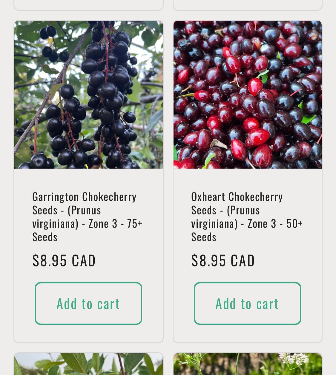new seeds added to my shop, some of the new stuff collected this fall, image 2 of 7