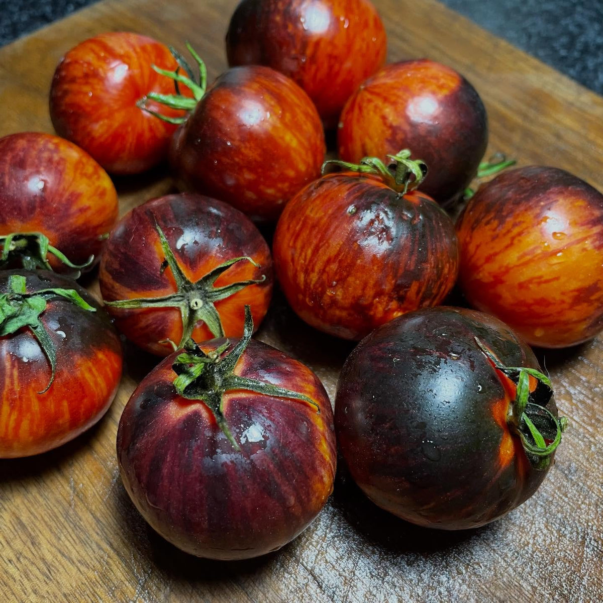 new tomatoes added to our seed shop today, image 1 of 9