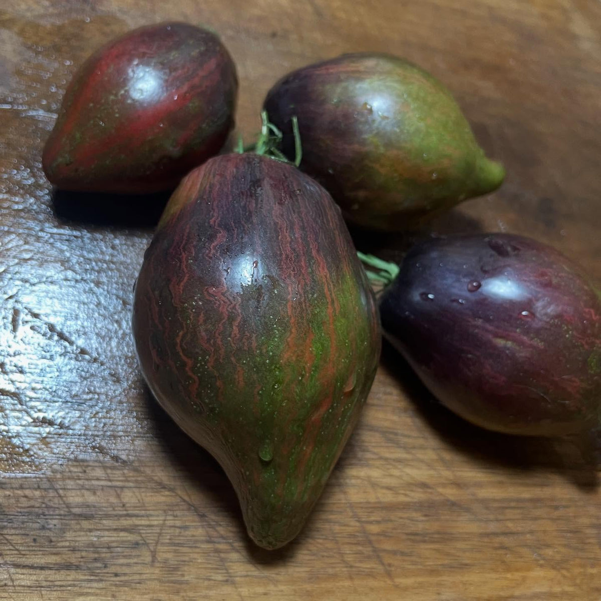 new tomatoes added to our seed shop today, image 2 of 9