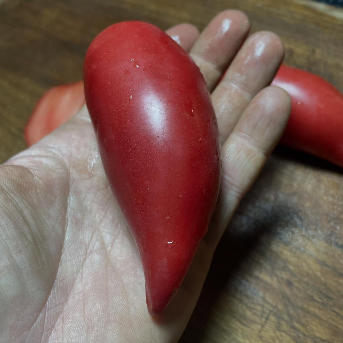 new tomatoes added to our seed shop today, image 3 of 9