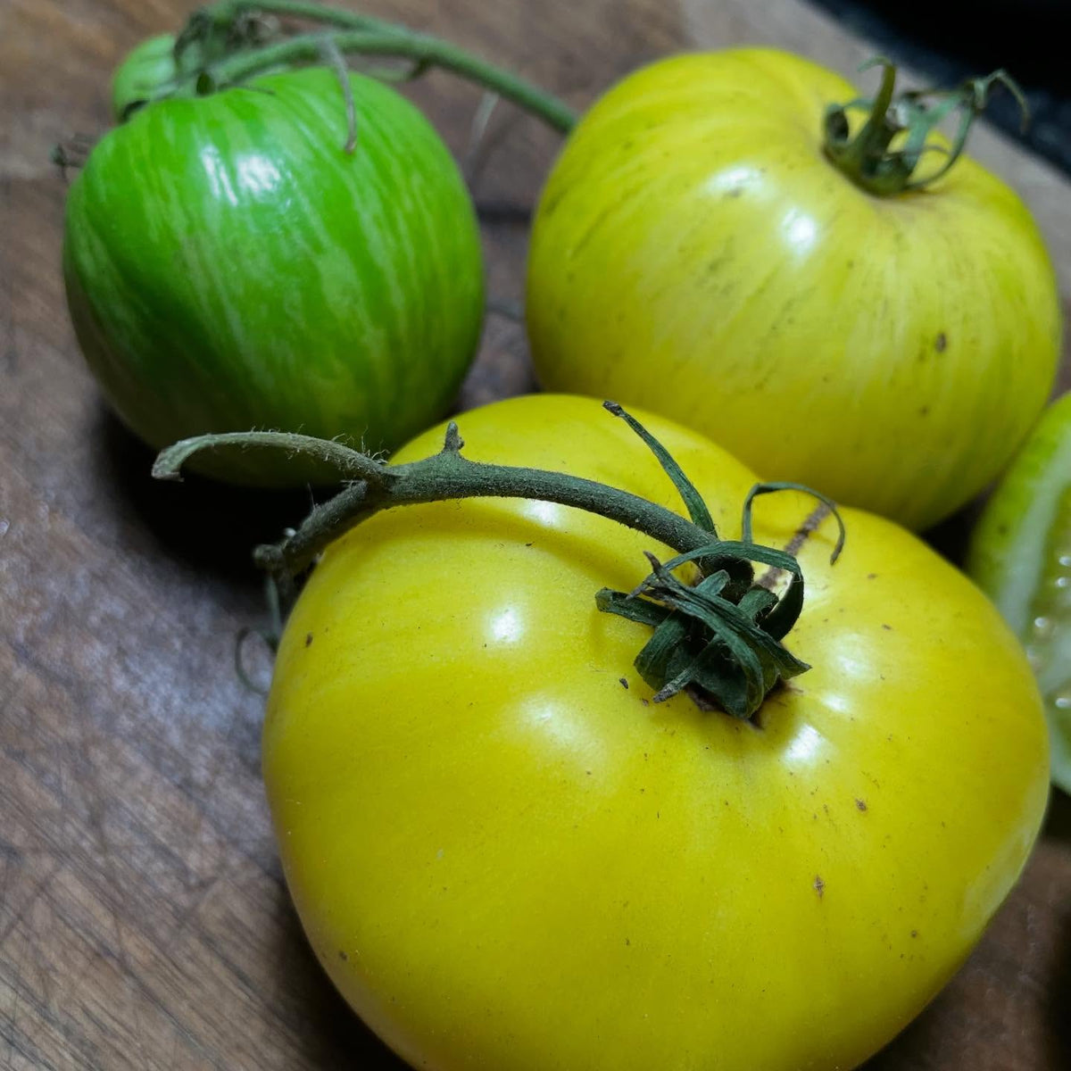 new tomatoes added to our seed shop today, image 5 of 9
