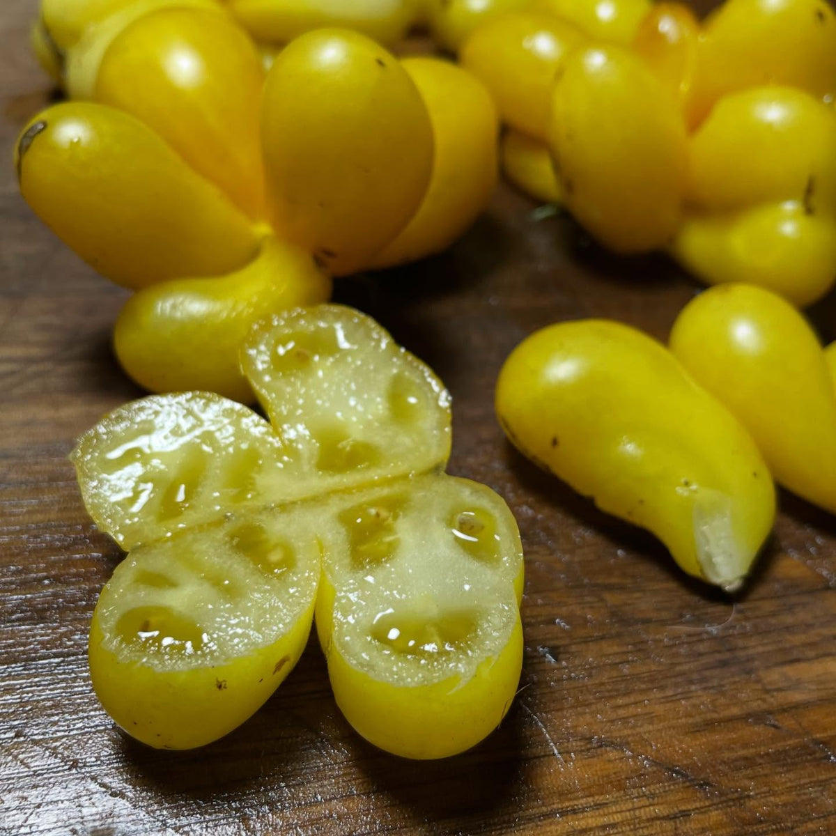 new tomatoes added to our seed shop today, image 7 of 9