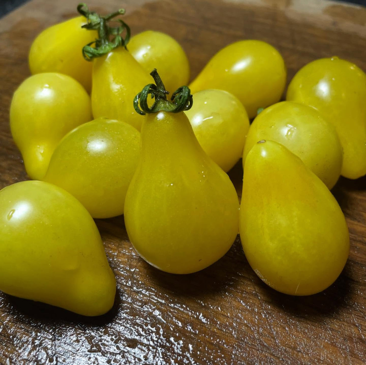 new tomatoes added to our seed shop today, image 9 of 9