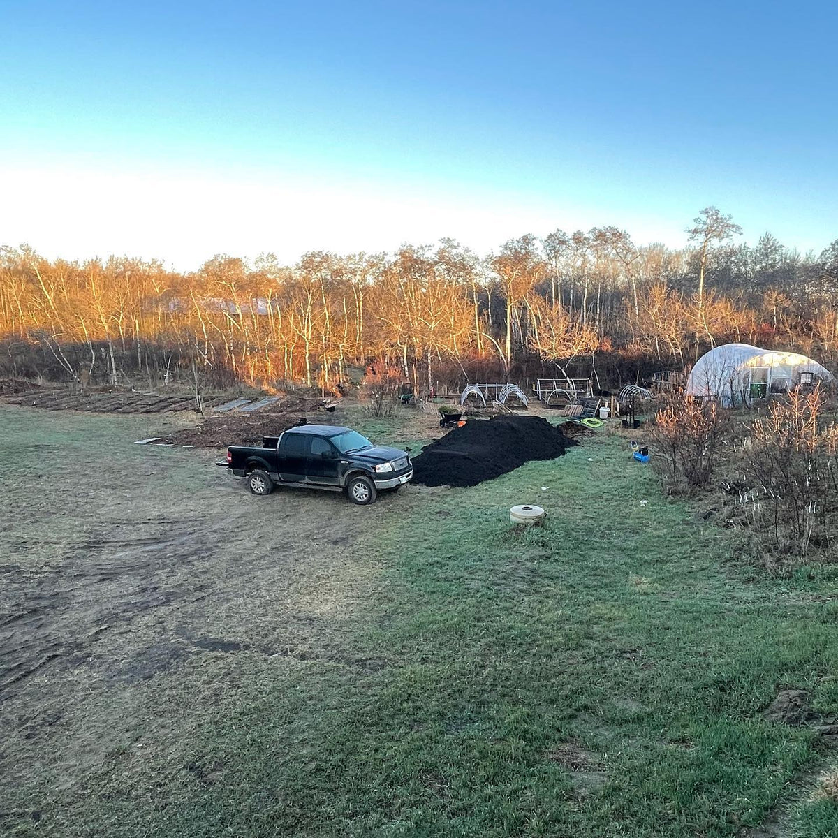 Nursery area this spring, about to build some seedbeds for more stratified tree seeds