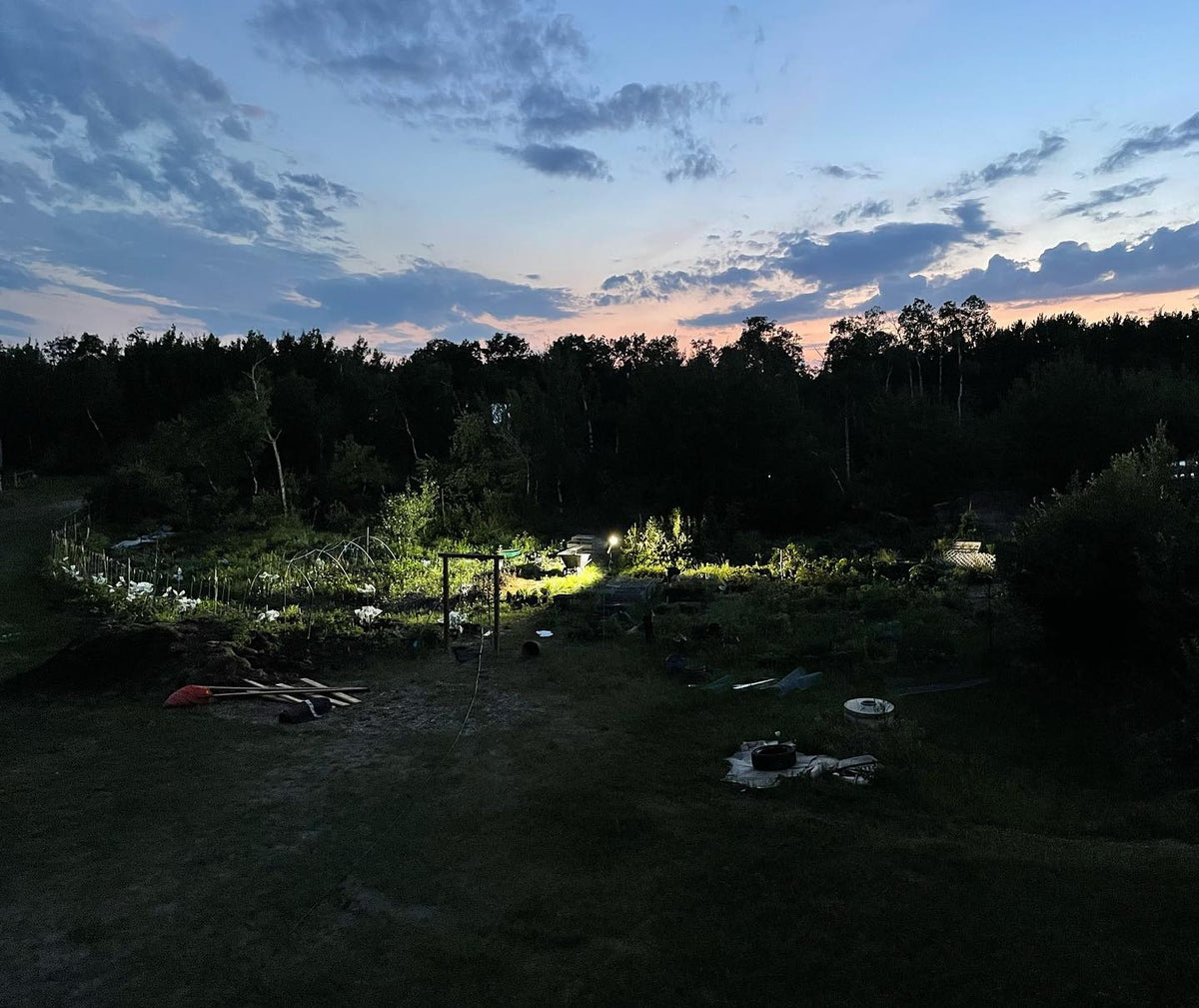 nursery tonight, floodlight is on to watch for deer