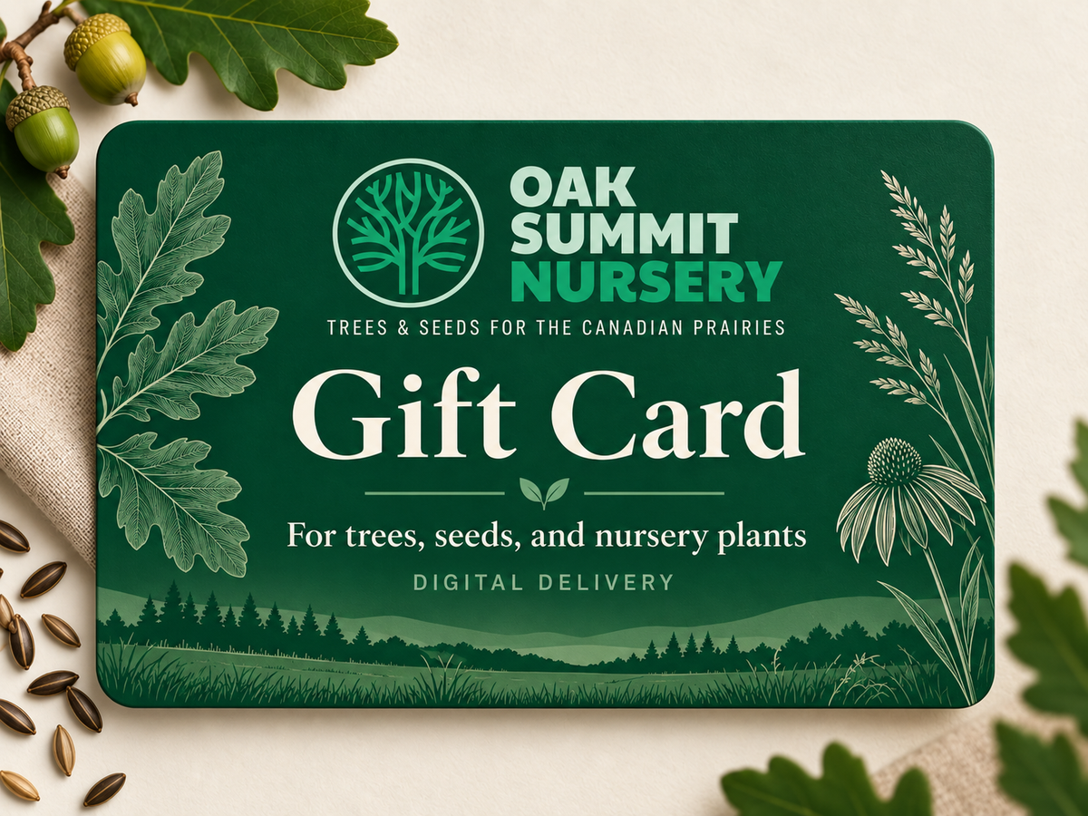 Carte-cadeau botanique Oak Summit Nursery, livraison numérique