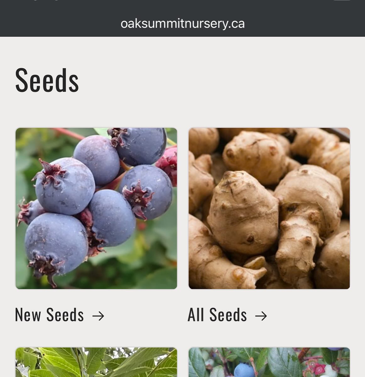 ok we're back to being a seed shop until the fall