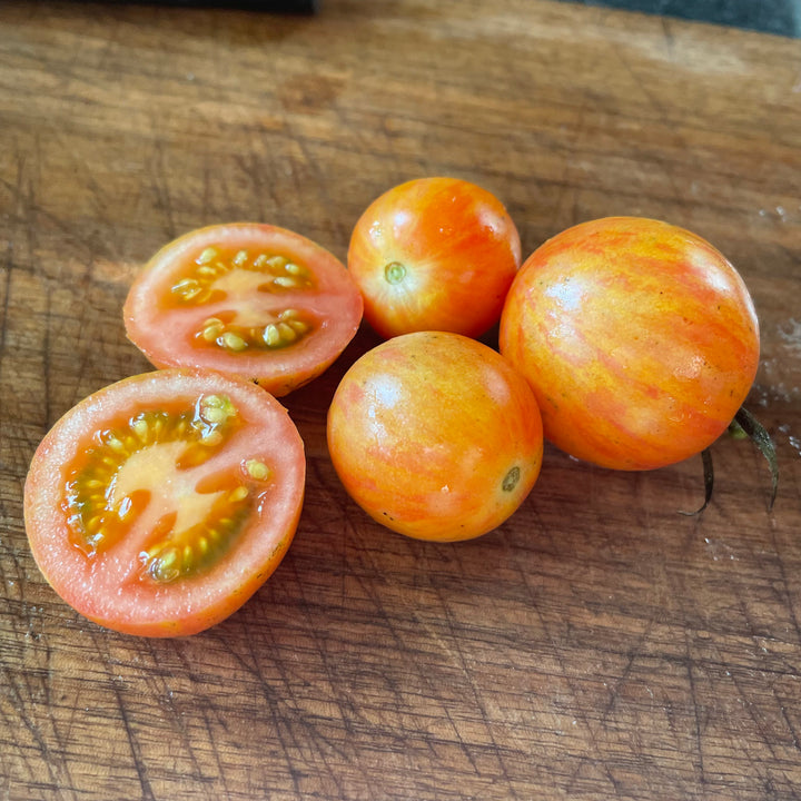 Cocktail RSF tomatoes photographed at Oak Summit Nursery.