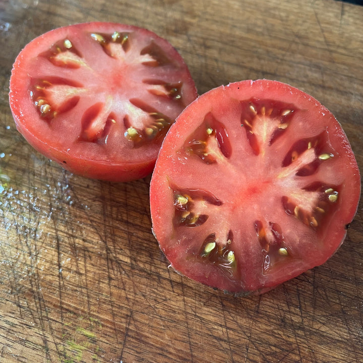 Dwarf Wild Spudleaf tomatoes photographed at Oak Summit Nursery.