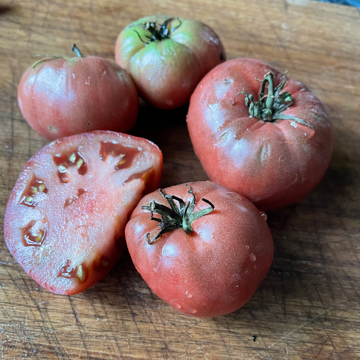 Dwarf Wild Spudleaf tomatoes photographed at Oak Summit Nursery.