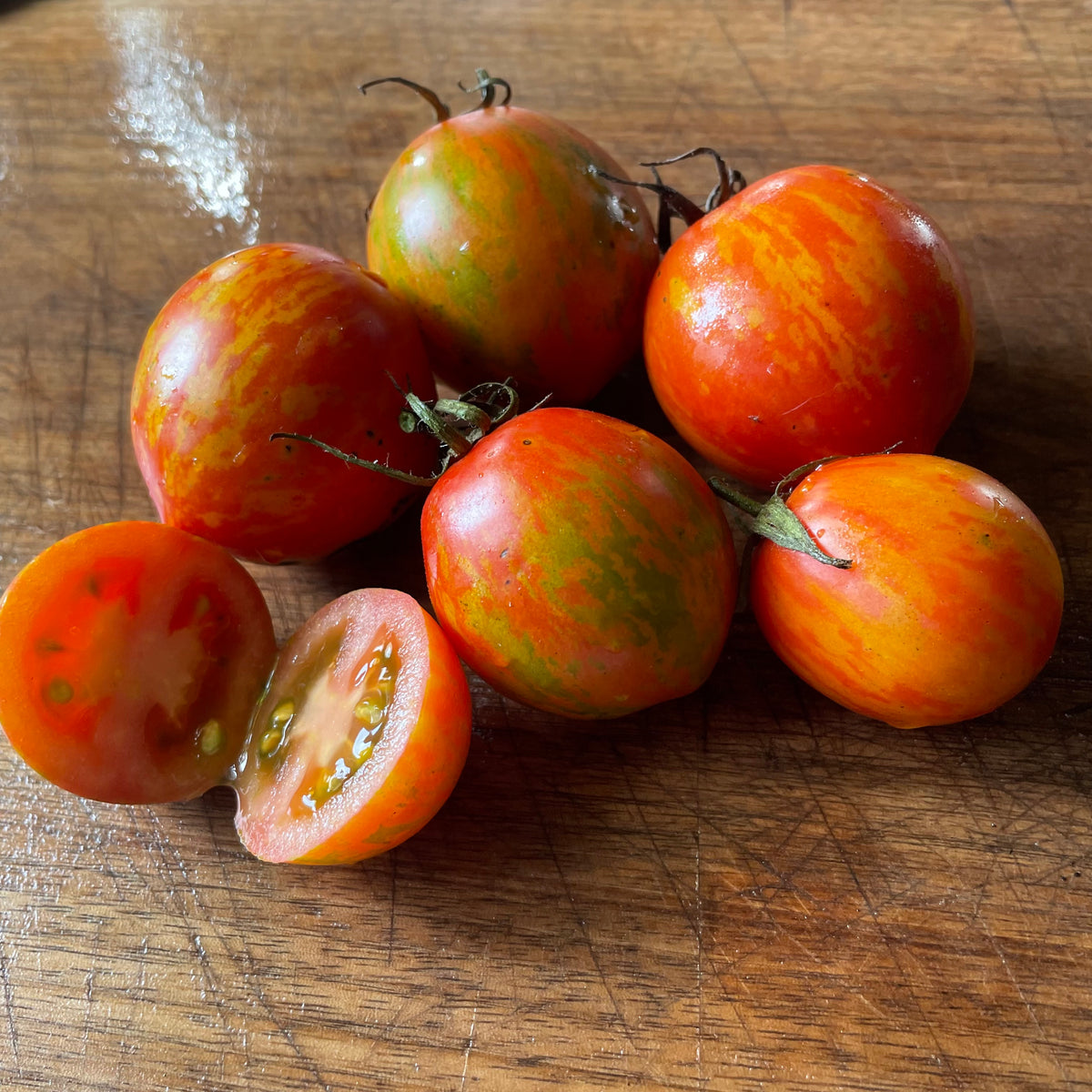 Red Zebra tomatoes photographed at Oak Summit Nursery.