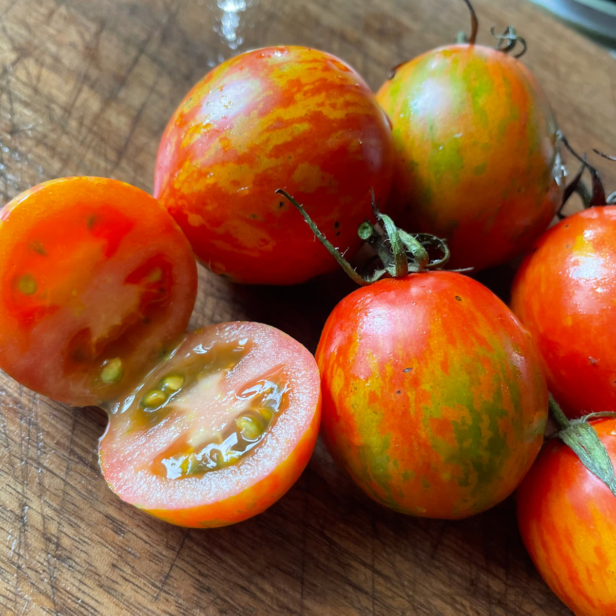 Red Zebra tomatoes photographed at Oak Summit Nursery.