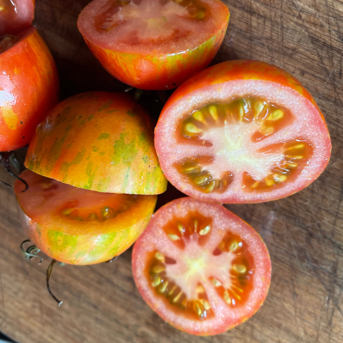 Red Zebra tomatoes photographed at Oak Summit Nursery.