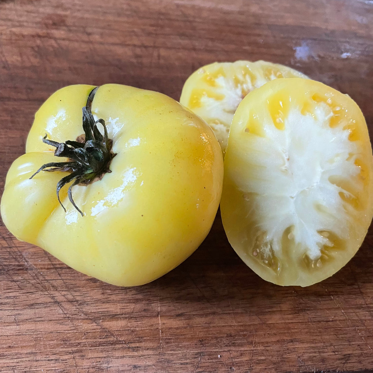 Dwarf Mr. Snow tomatoes photographed at Oak Summit Nursery.