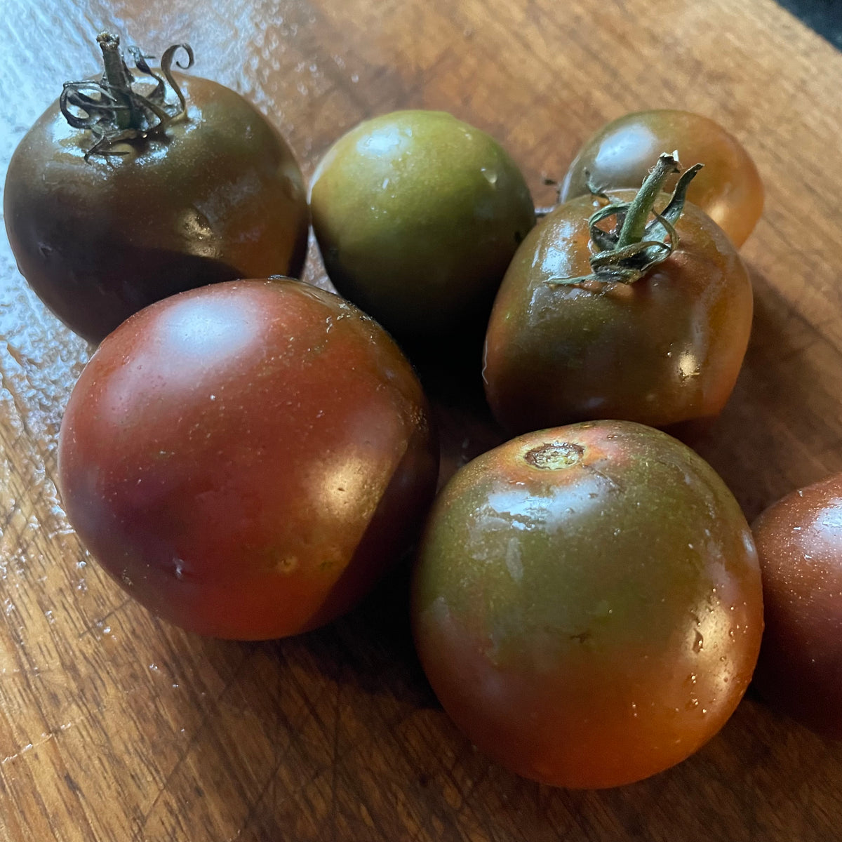 Black Convent tomatoes photographed at Oak Summit Nursery.