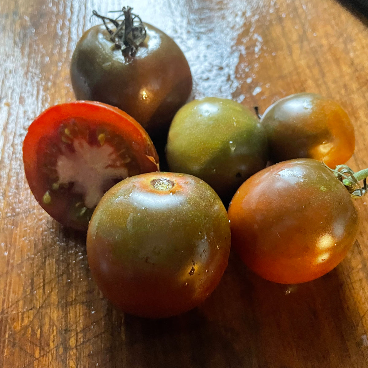 Black Convent tomatoes photographed at Oak Summit Nursery.