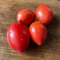 Amish Paste tomatoes photographed at Oak Summit Nursery.