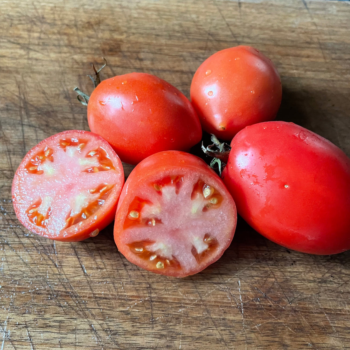 Amish Paste tomatoes photographed at Oak Summit Nursery.