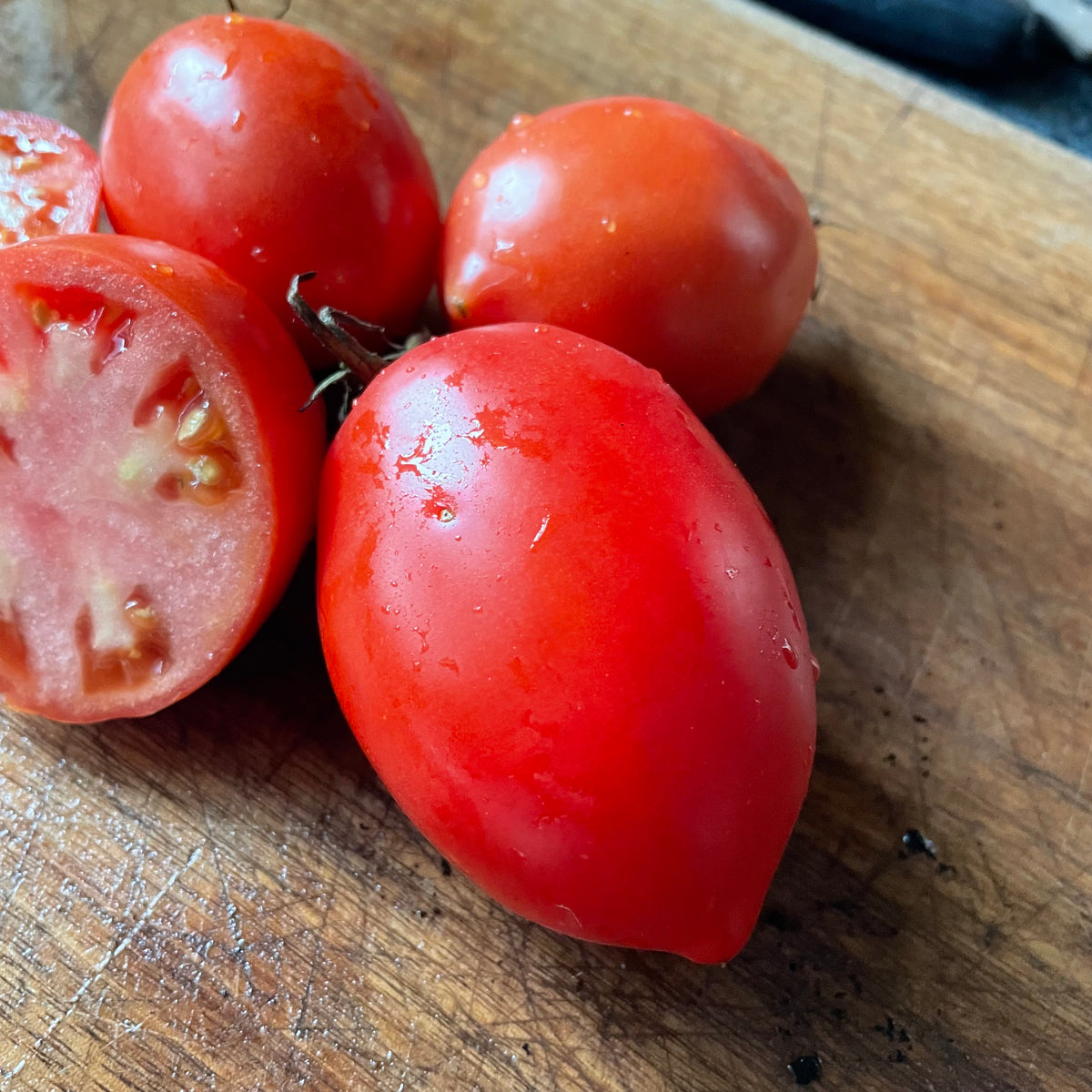 Amish Paste tomatoes photographed at Oak Summit Nursery.
