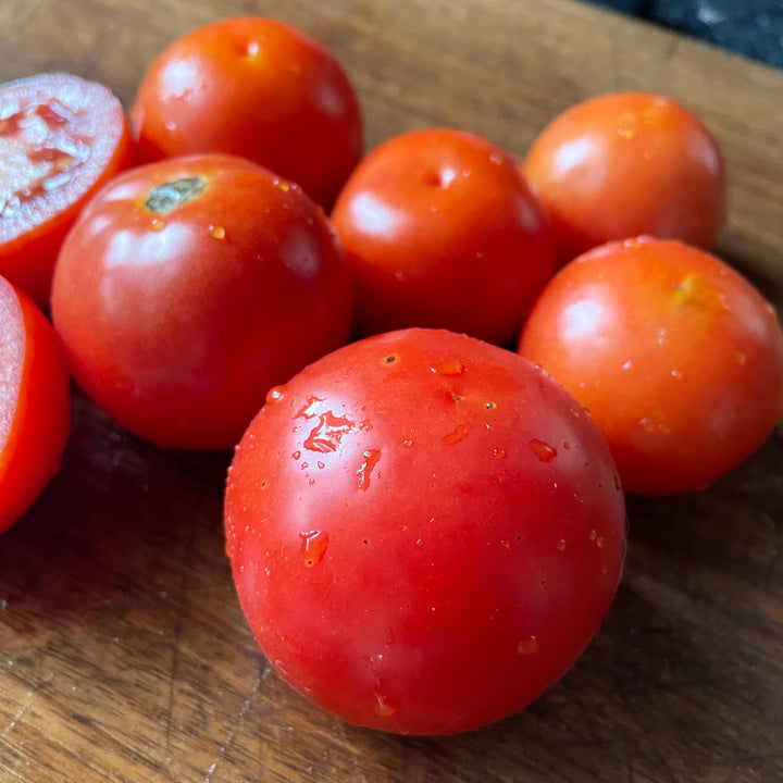 Alaskan Fancy tomatoes photographed at Oak Summit Nursery.