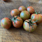 Purple Bumble Bee tomatoes photographed at Oak Summit Nursery.