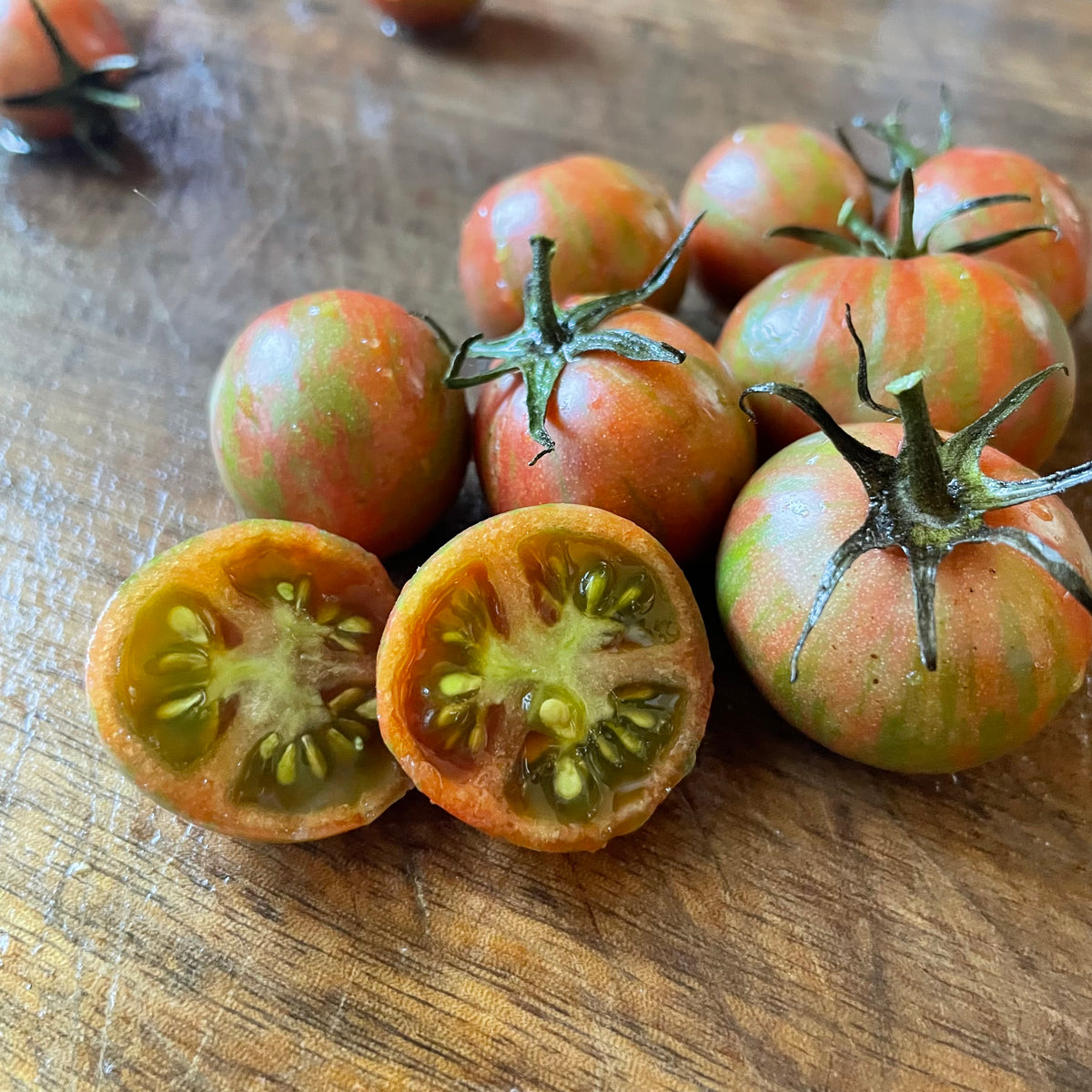 Purple Bumble Bee tomatoes photographed at Oak Summit Nursery.