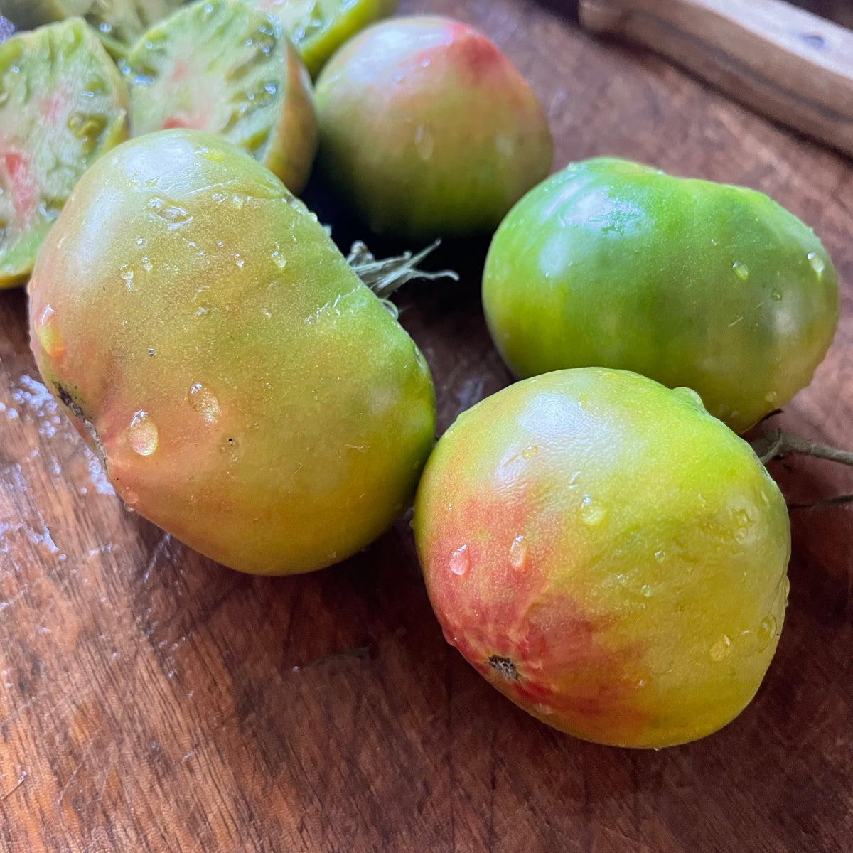 Captain Lucky tomatoes photographed at Oak Summit Nursery.
