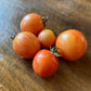 Raspberry Beret tomatoes photographed at Oak Summit Nursery.