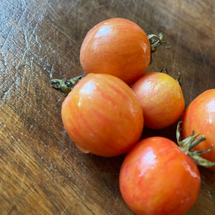 Raspberry Beret tomatoes photographed at Oak Summit Nursery.