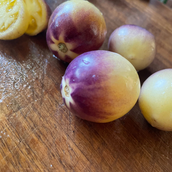 Intergalactic tomatoes photographed at Oak Summit Nursery.
