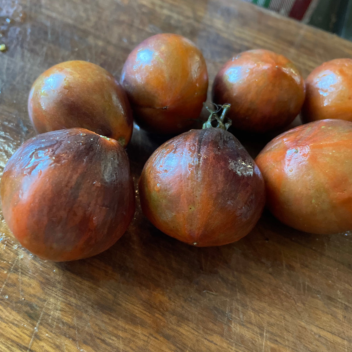 Ordinary World tomatoes photographed at Oak Summit Nursery.