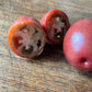 Purple Russian tomatoes photographed at Oak Summit Nursery.