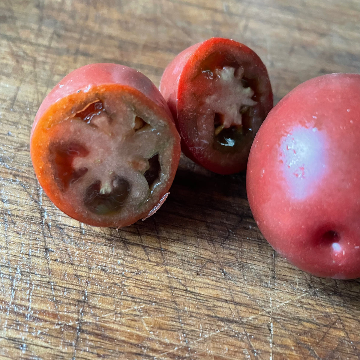 Purple Russian tomatoes photographed at Oak Summit Nursery.
