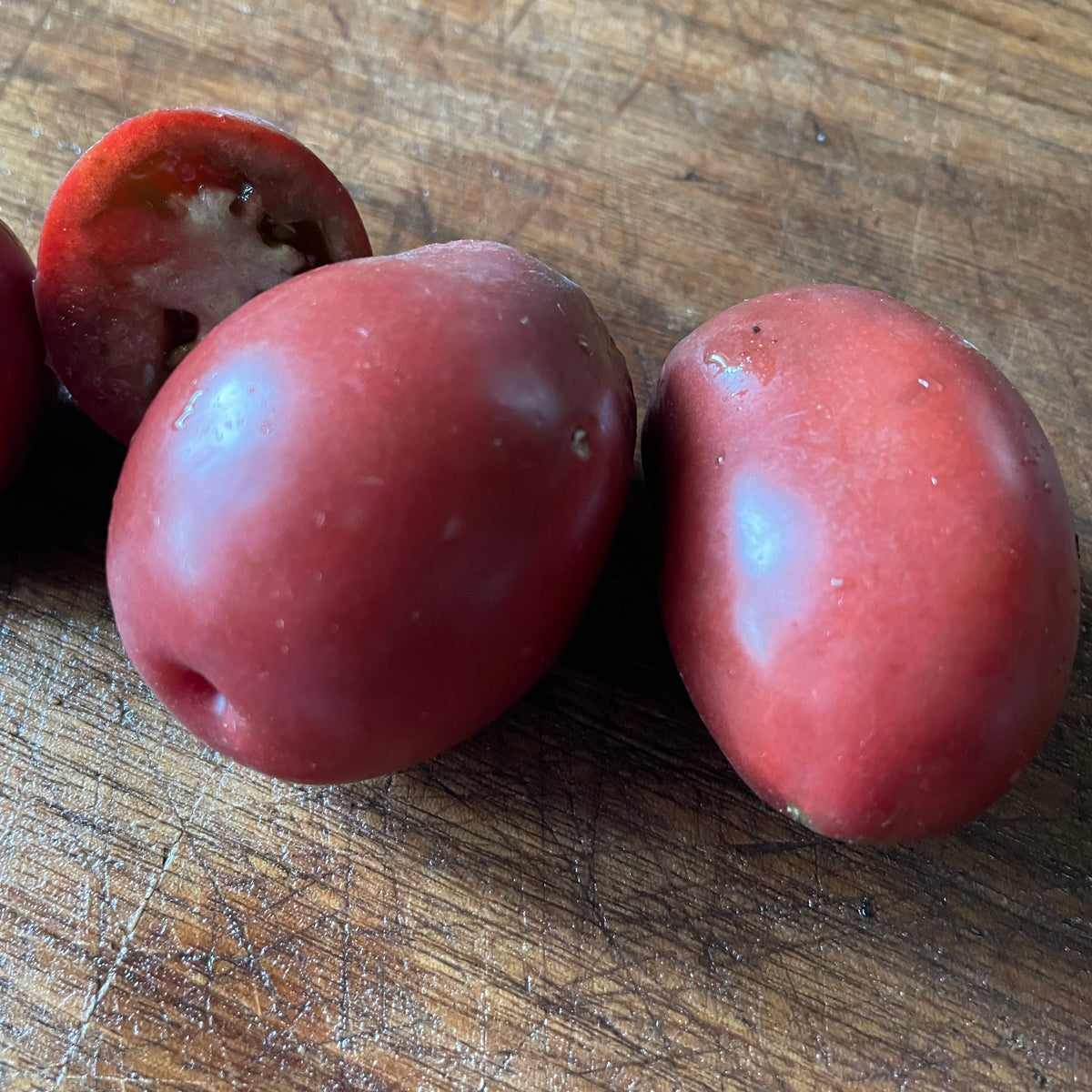 Purple Russian tomatoes photographed at Oak Summit Nursery.