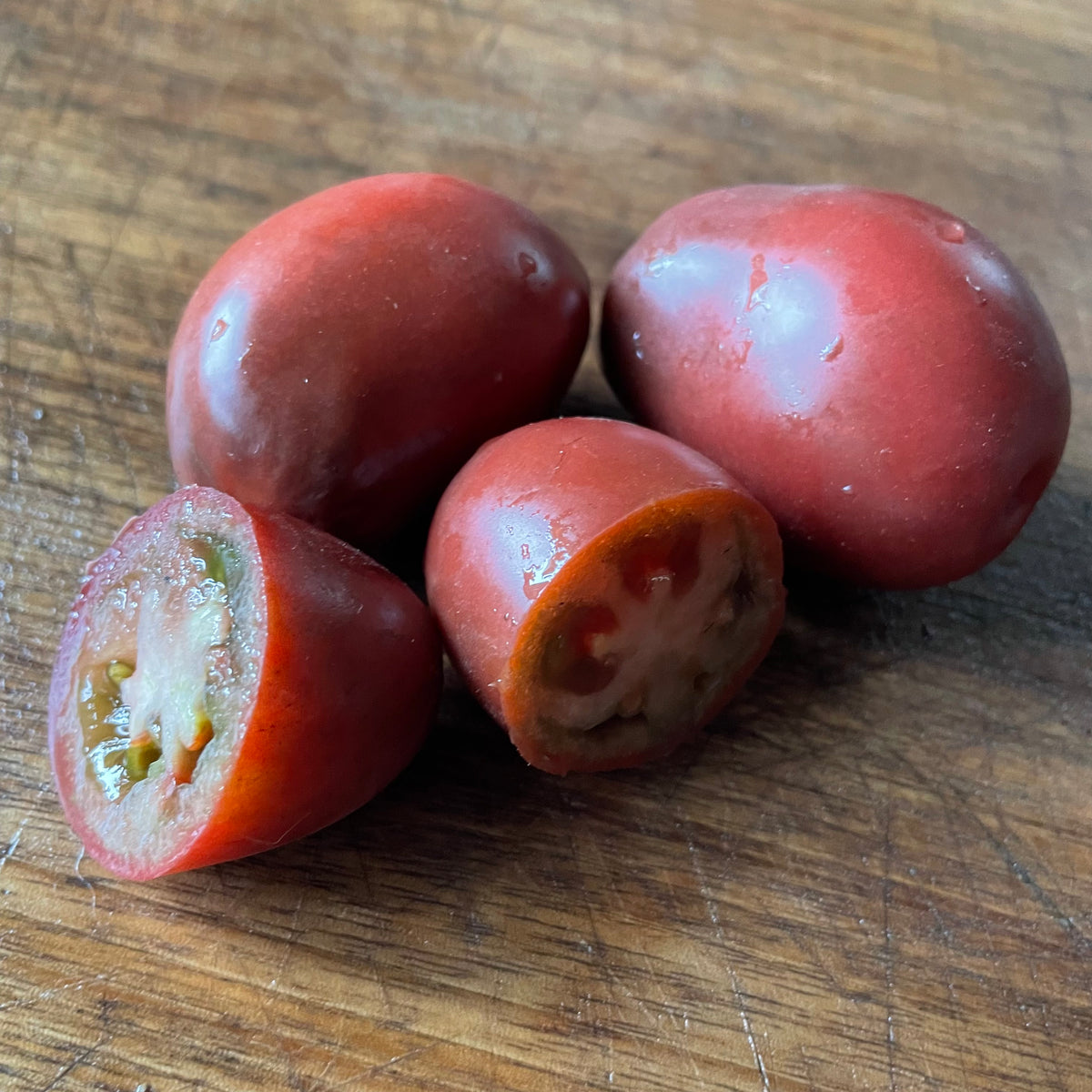 Purple Russian tomatoes photographed at Oak Summit Nursery.